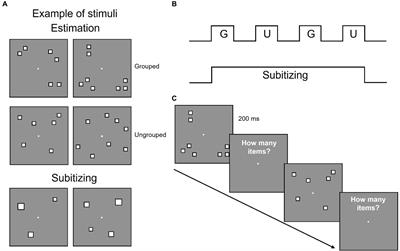 EEG signature of grouping strategies in numerosity perception